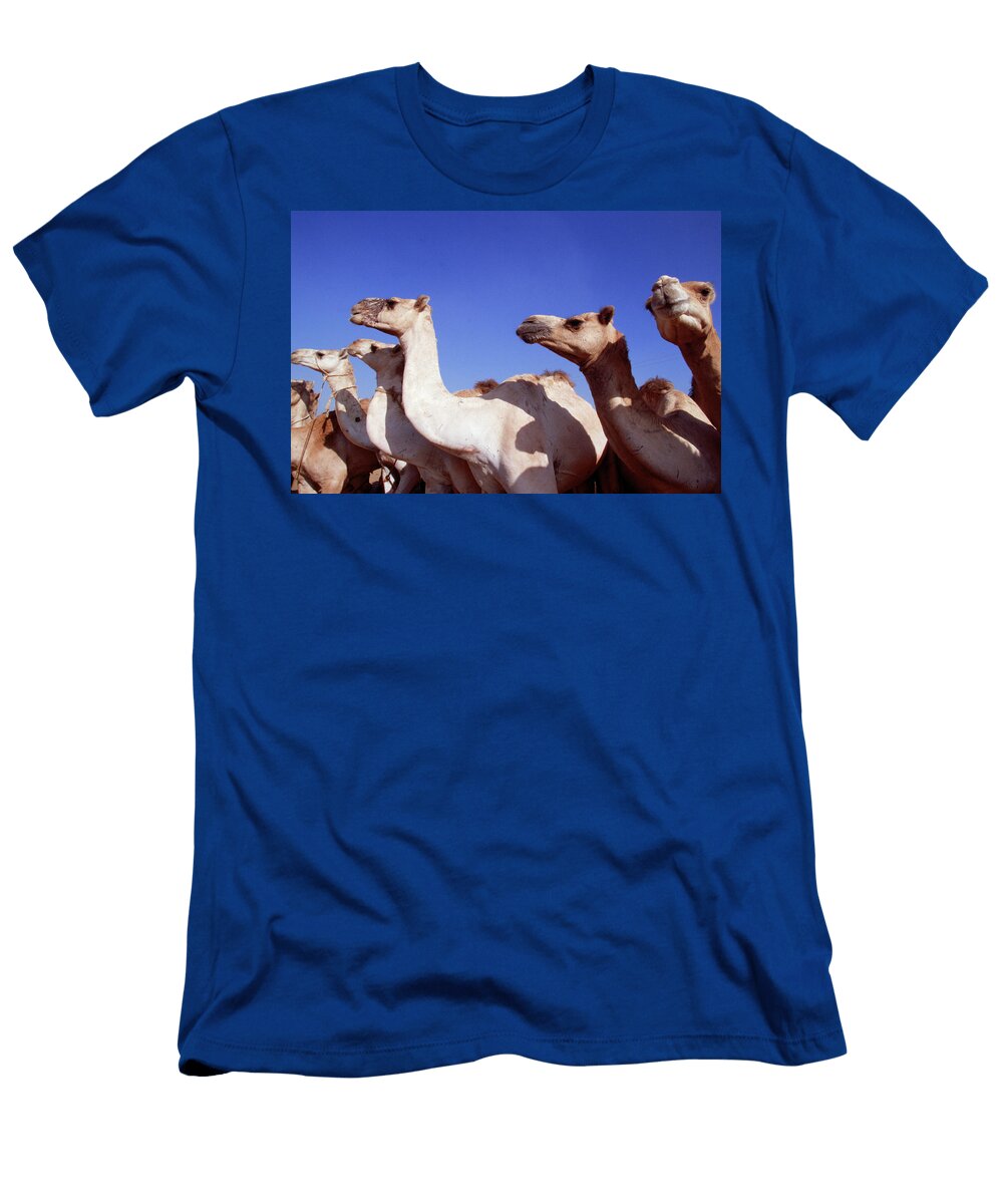 1 Pyramids of Giza Peter Mcbride T-Shirt
