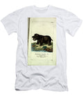 5 Hippopotamus Vintage Naturalist T-Shirt