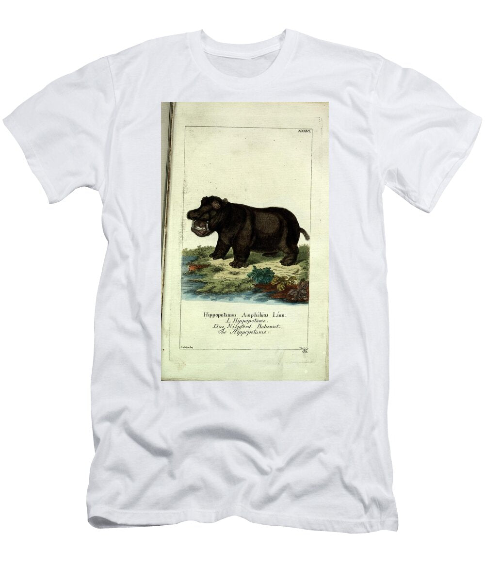 5 Hippopotamus Vintage Naturalist T-Shirt