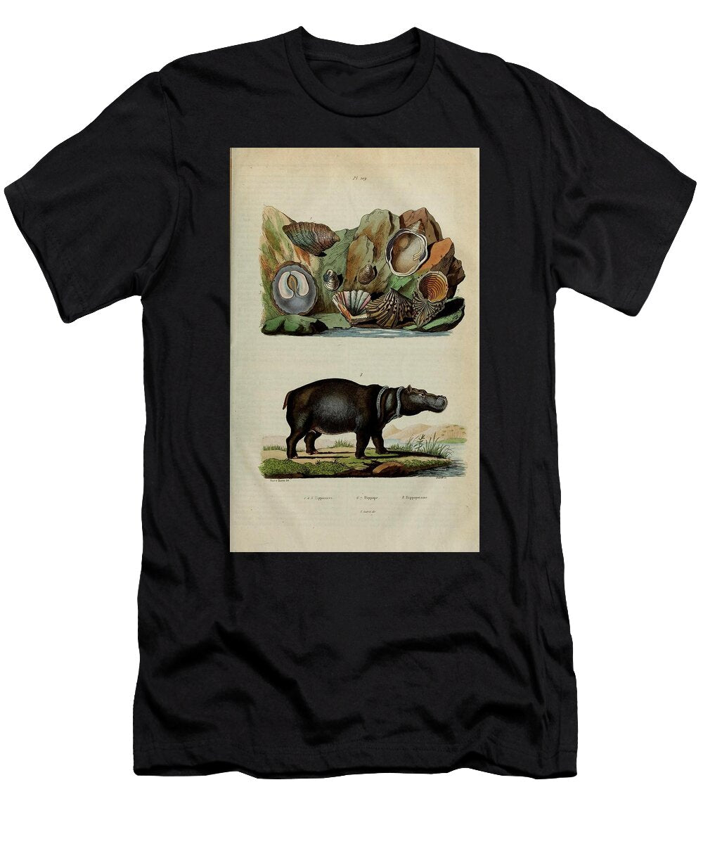 6 Hippopotamus Vintage Naturalist T-Shirt