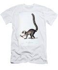 A Lemur 1798 99 Jean Baptiste Audebert T-Shirt