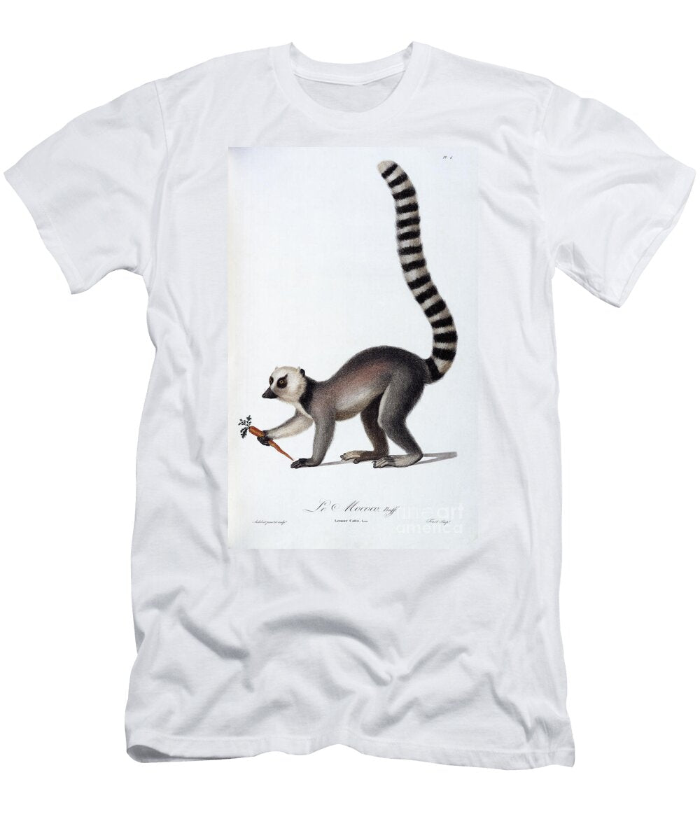 A Lemur 1798 99 Jean Baptiste Audebert T-Shirt