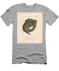 Commersons Mouse Lemur Hand Coloured Litho Johann Christoph Bock T-Shirt