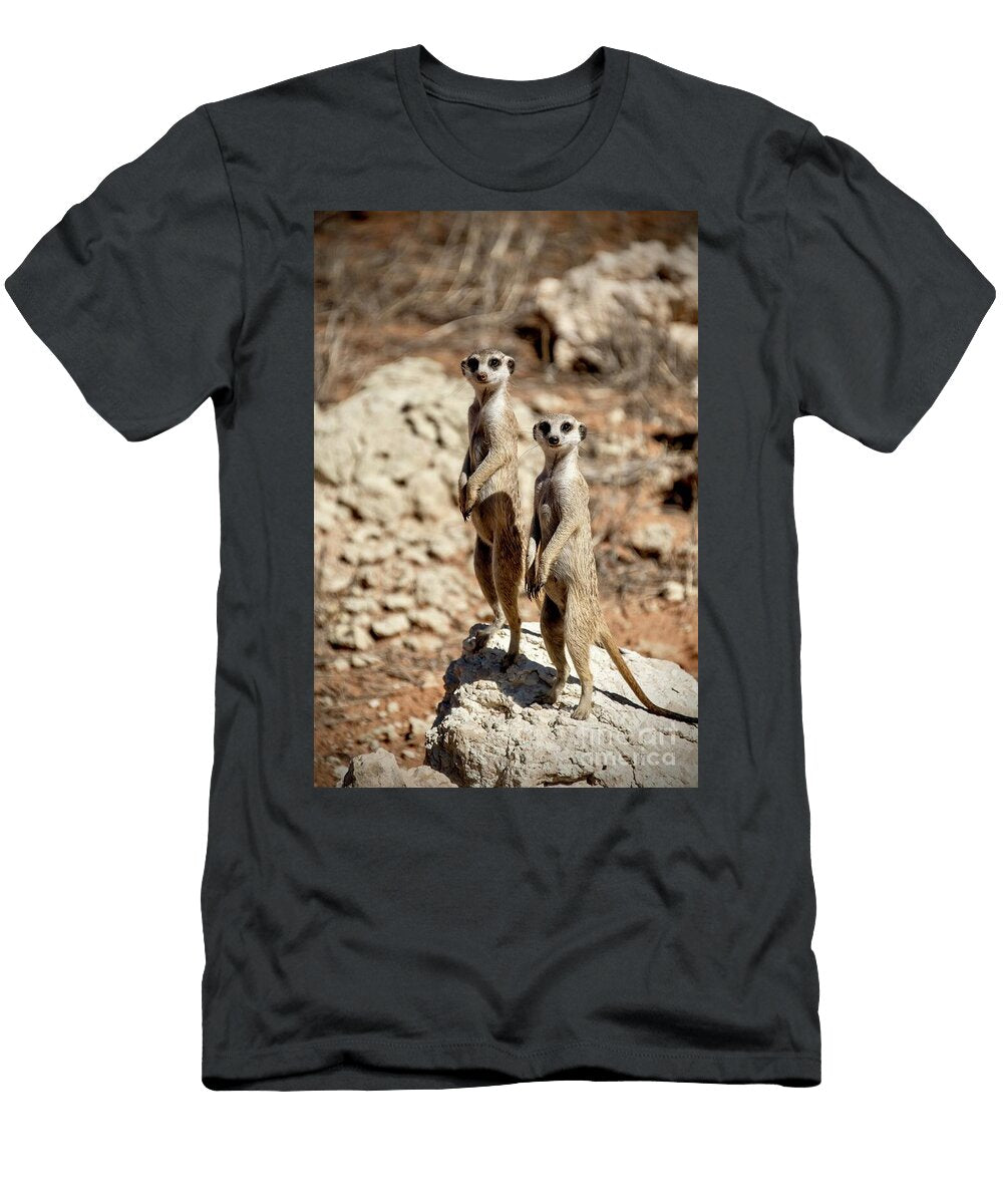 Curious Meerkats on Rocky Terrain Davide Antoniani T-Shirt