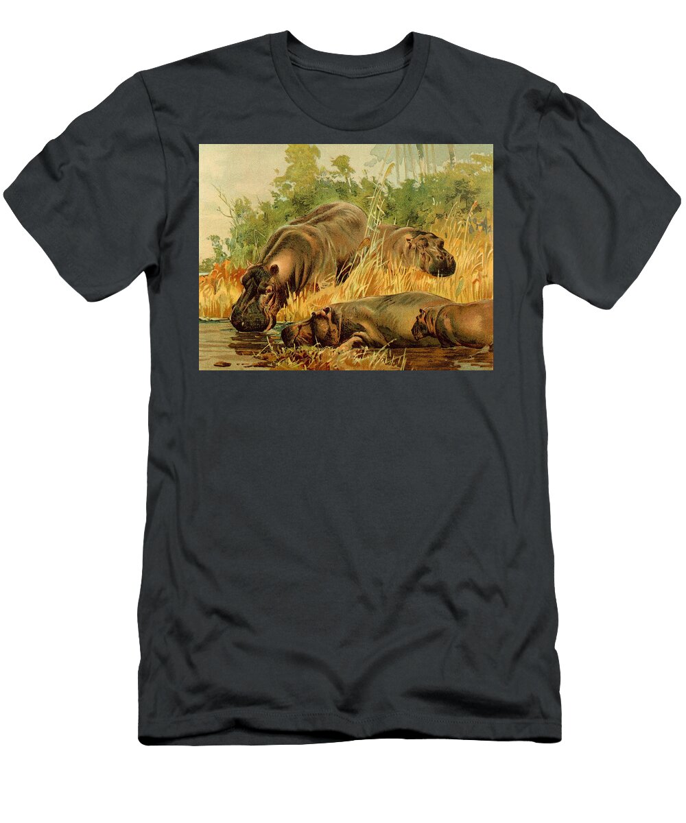 Hippopotami Big Art Store T-Shirt