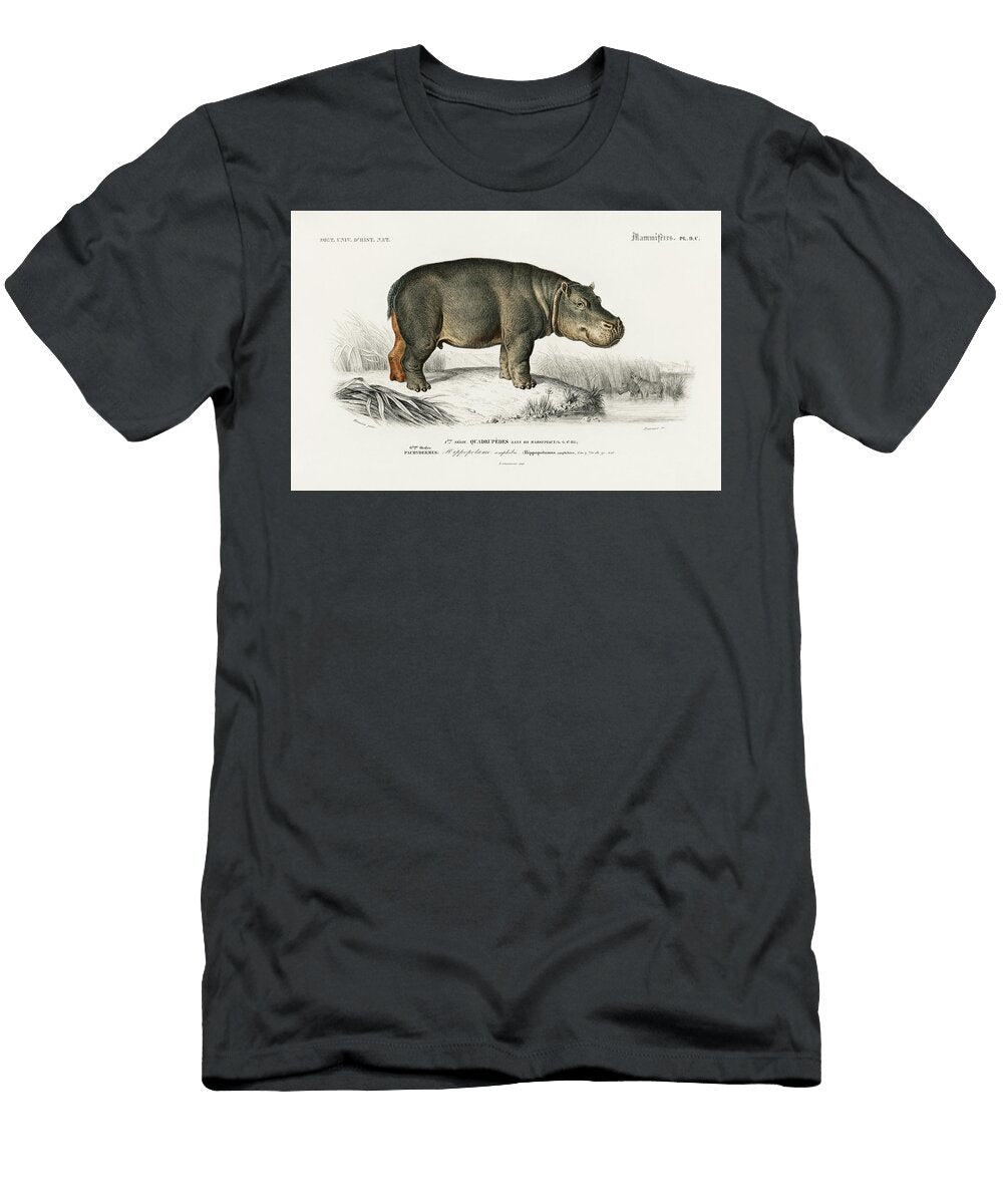 Hippopotamus Charles Dessalines D Orbigny T-Shirt