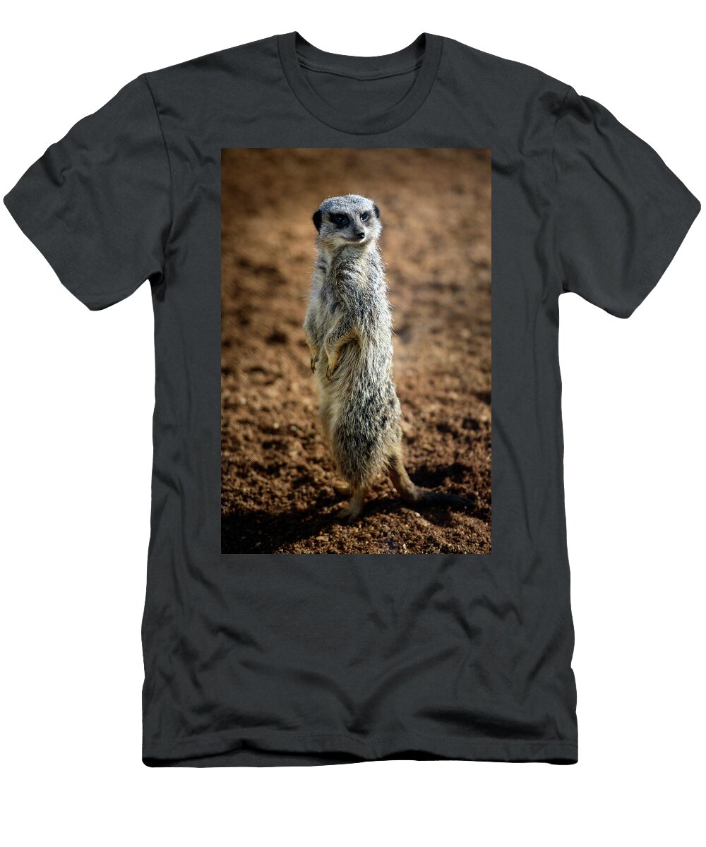 Lovely Meerkat Svetlana Sewell T-Shirt