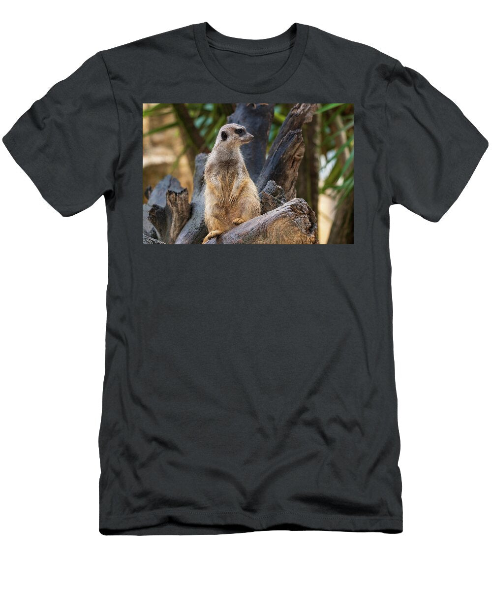 Meerkat Sentry on Tree Trunk Artur Bogacki T-Shirt