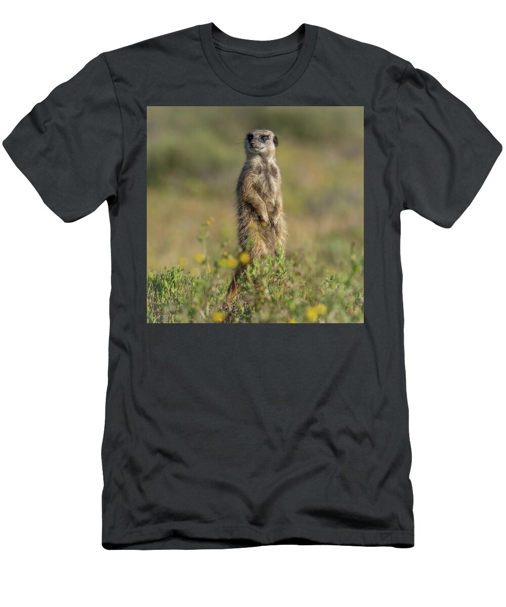 Meerkat Standing Watchful Greg Taylor T-Shirt