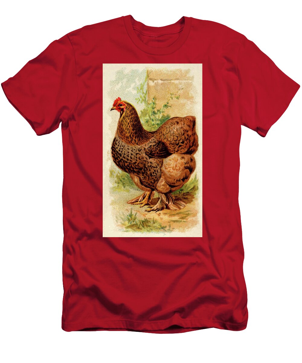 Partridge Cochin Hen Vintage Animal Illustration Vintage Animal Illustrations T-Shirt