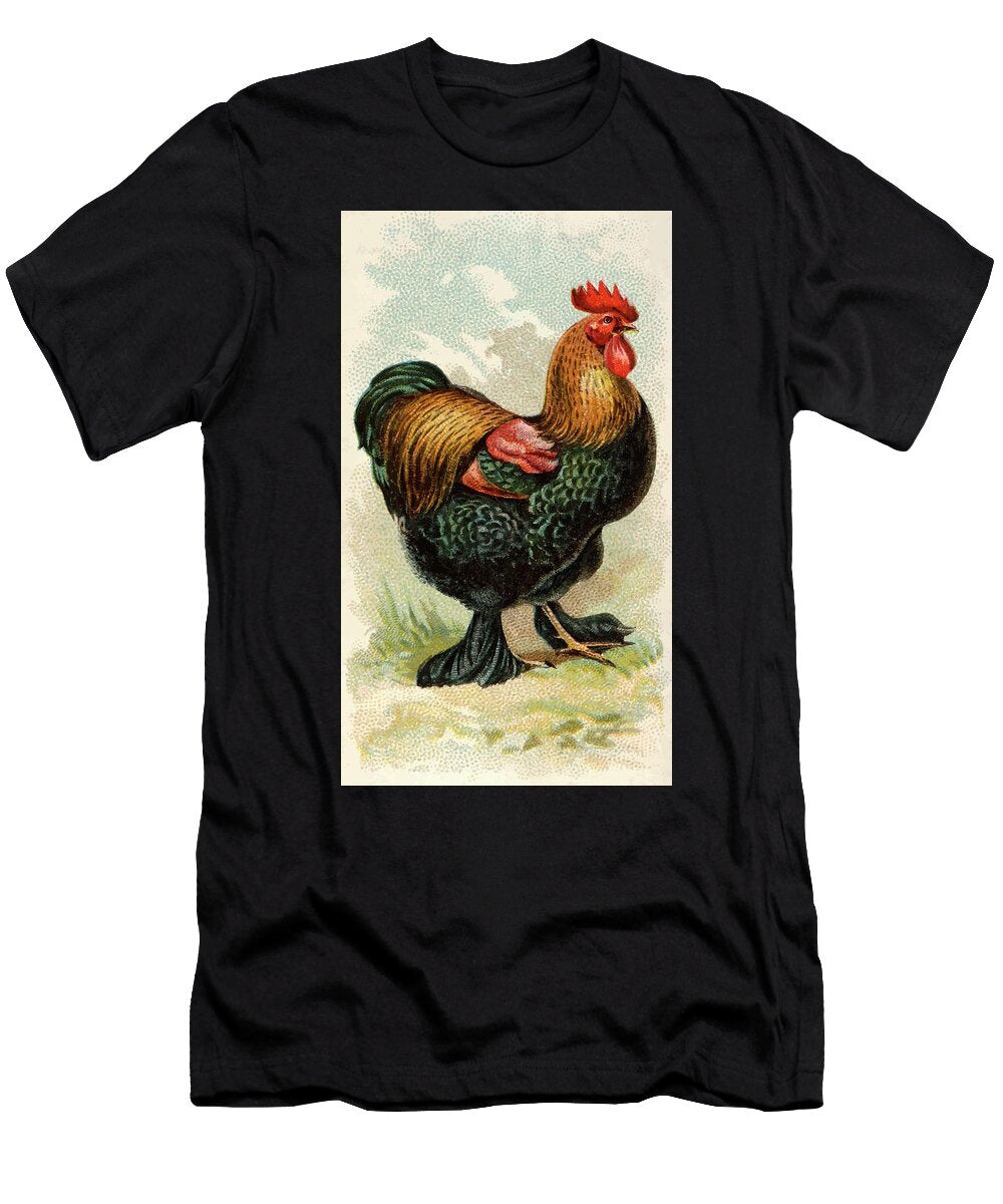 Partridge Cochin Rooster Vintage Animal Illustration Vintage Animal Illustrations T-Shirt