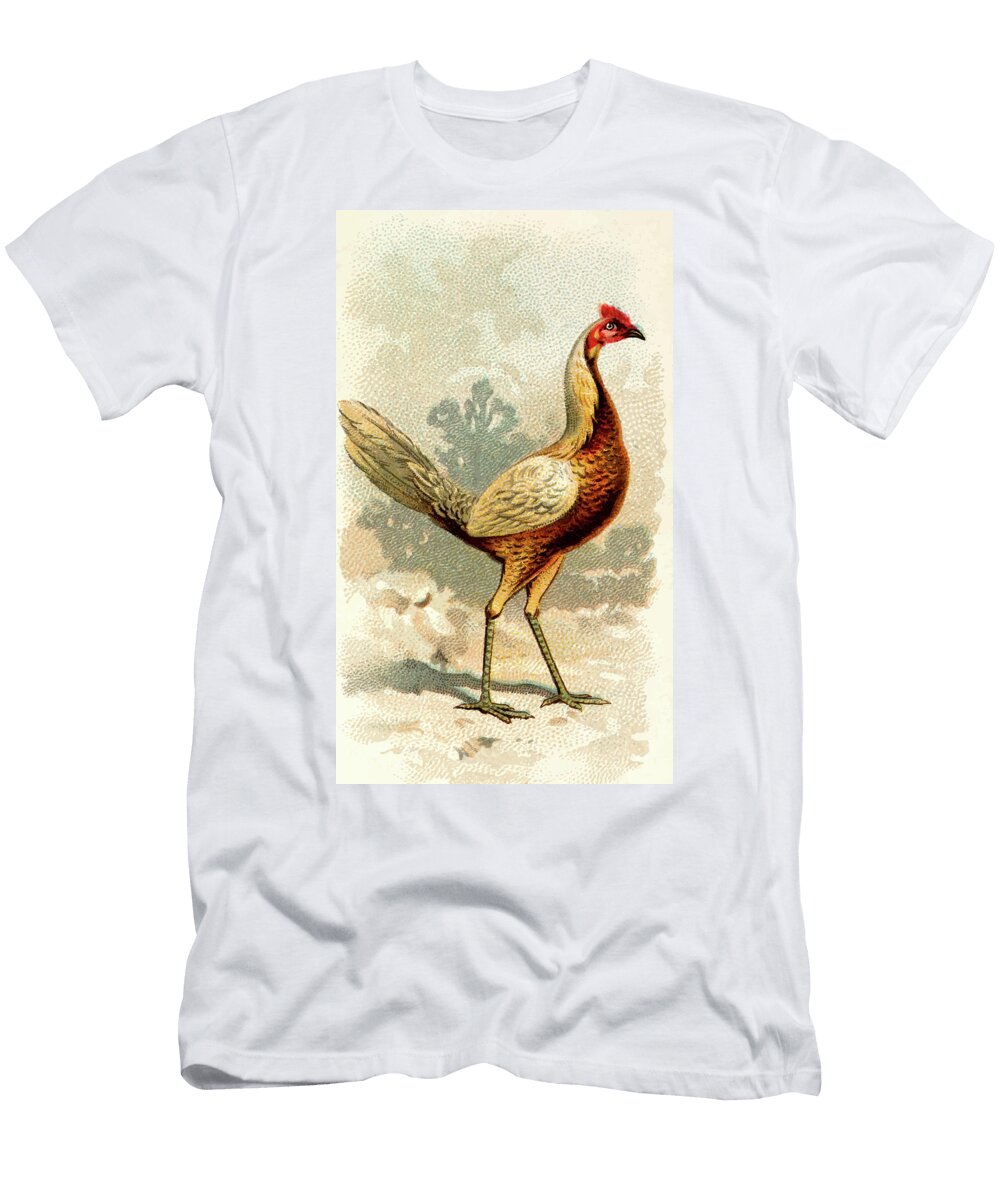 Pile Game Hen Vintage Animal Illustration Vintage Animal Illustrations T-Shirt