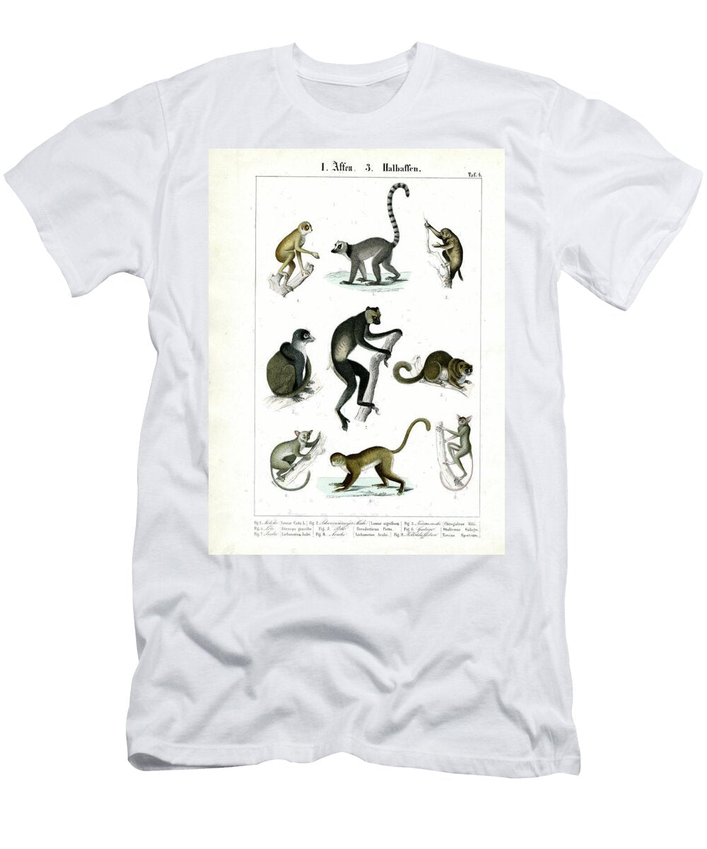 Prosimians and Lemurs 1851 Lithography C Roth T-Shirt