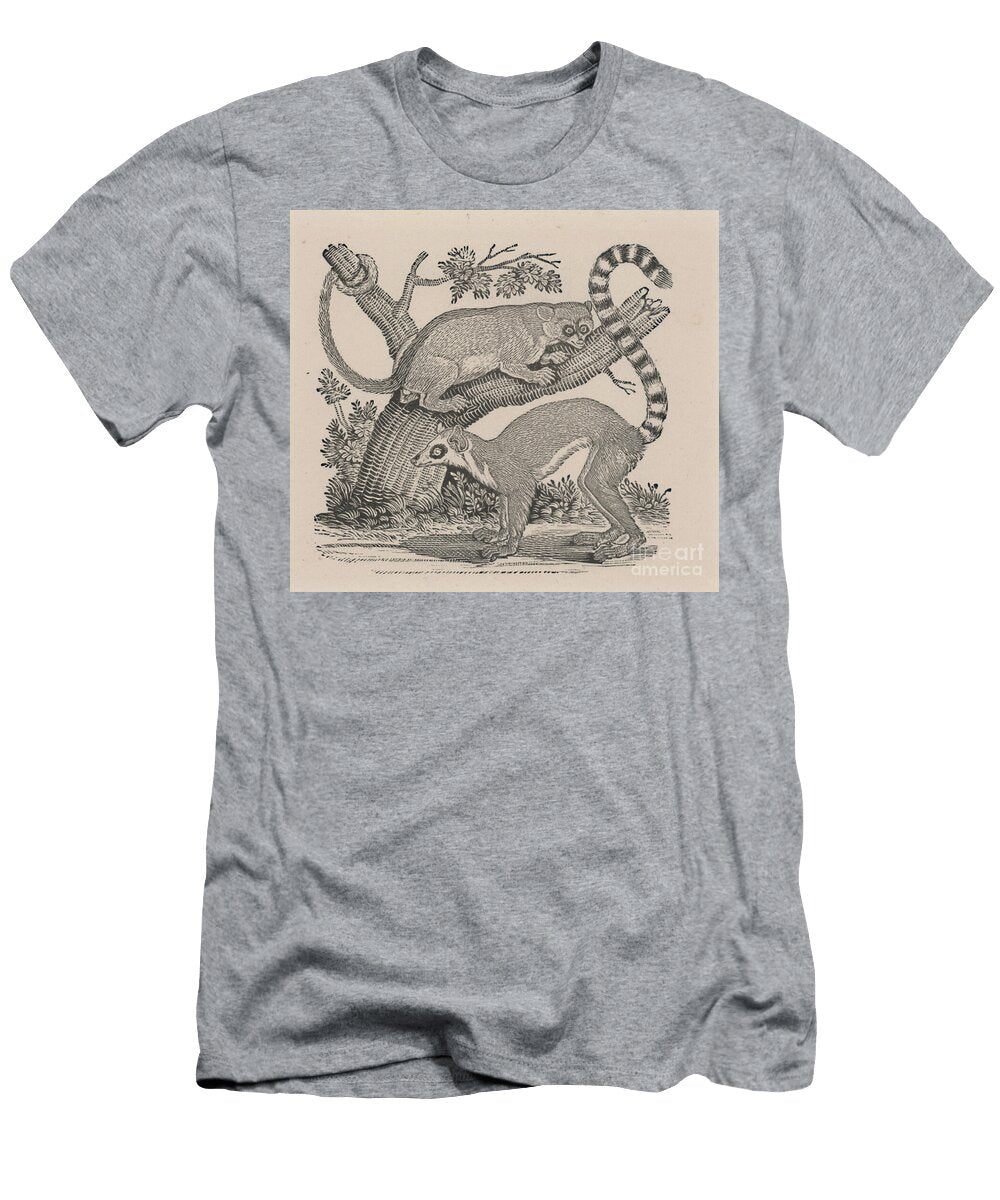 Two Lemurs From General History of Quadrupeds 1790 Wood Engraving Thomas Bewick T-Shirt