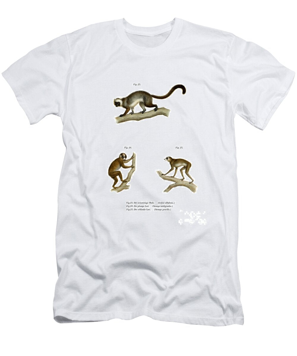White Headed Lemur 1860 German School T-Shirt