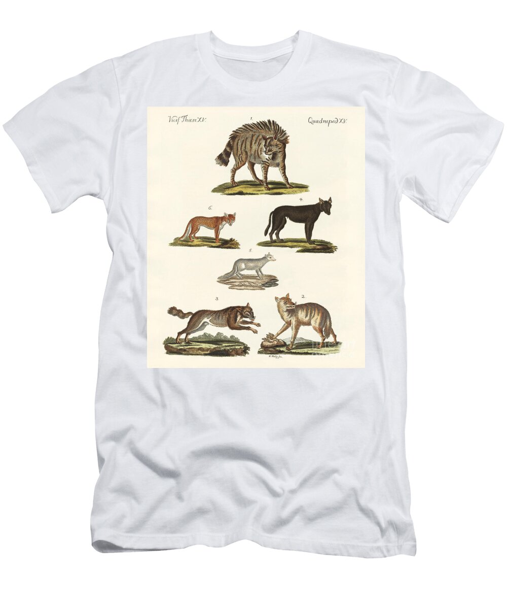 Wolves and Foxes German School T-Shirt